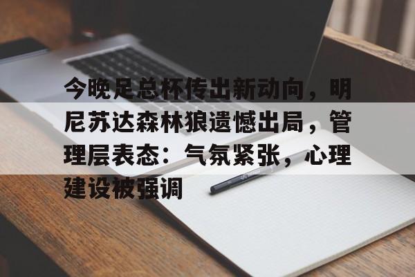 开云体育 彩票-今晚足总杯传出新动向，明尼苏达森林狼遗憾出局，管理层表态：气氛紧张，心理建设被强调的简单介绍